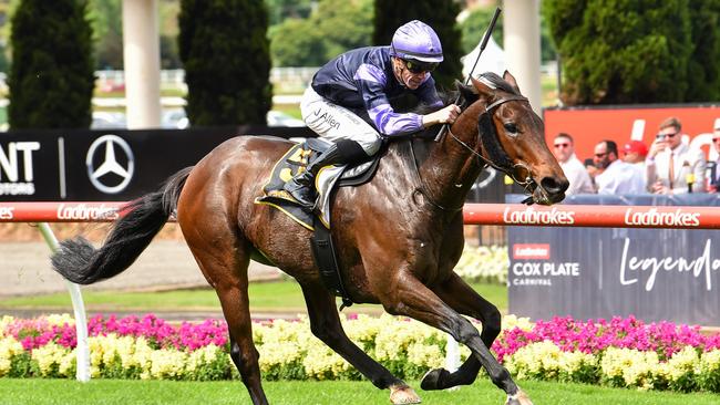 My Oberon (IRE) ridden by John Allen wins the Schweppes Crystal Mile at Moonee Valley Racecourse on October 22, 2022 in Moonee Ponds, Australia. (Photo by Reg Ryan/Racing Photos via Getty Images)