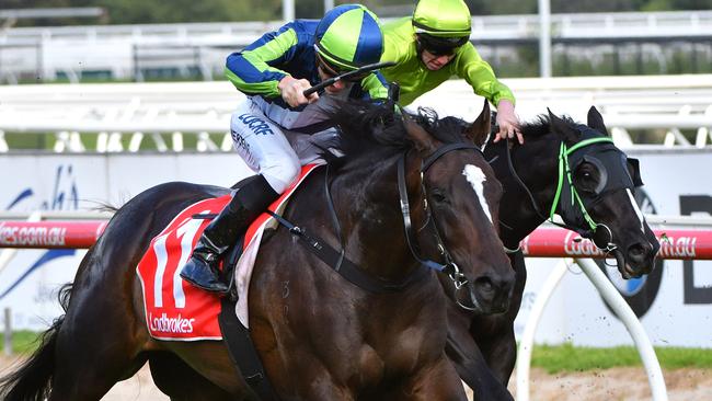 Adelaide preview: Morphettville 6/5 | news.com.au — Australia’s leading ...