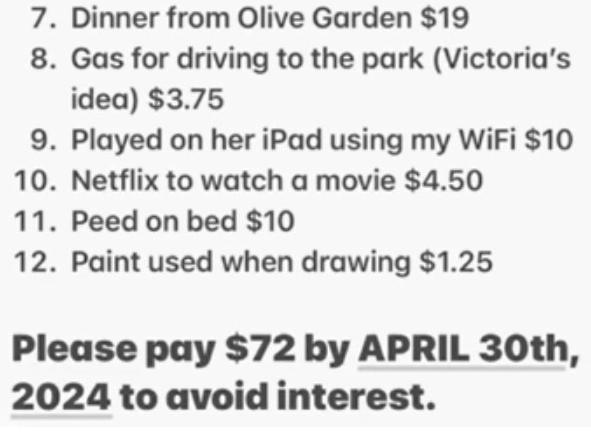 'Here is a breakdown of everything Victoria used in my home,' her sister’s text message began. Picture: TikTok