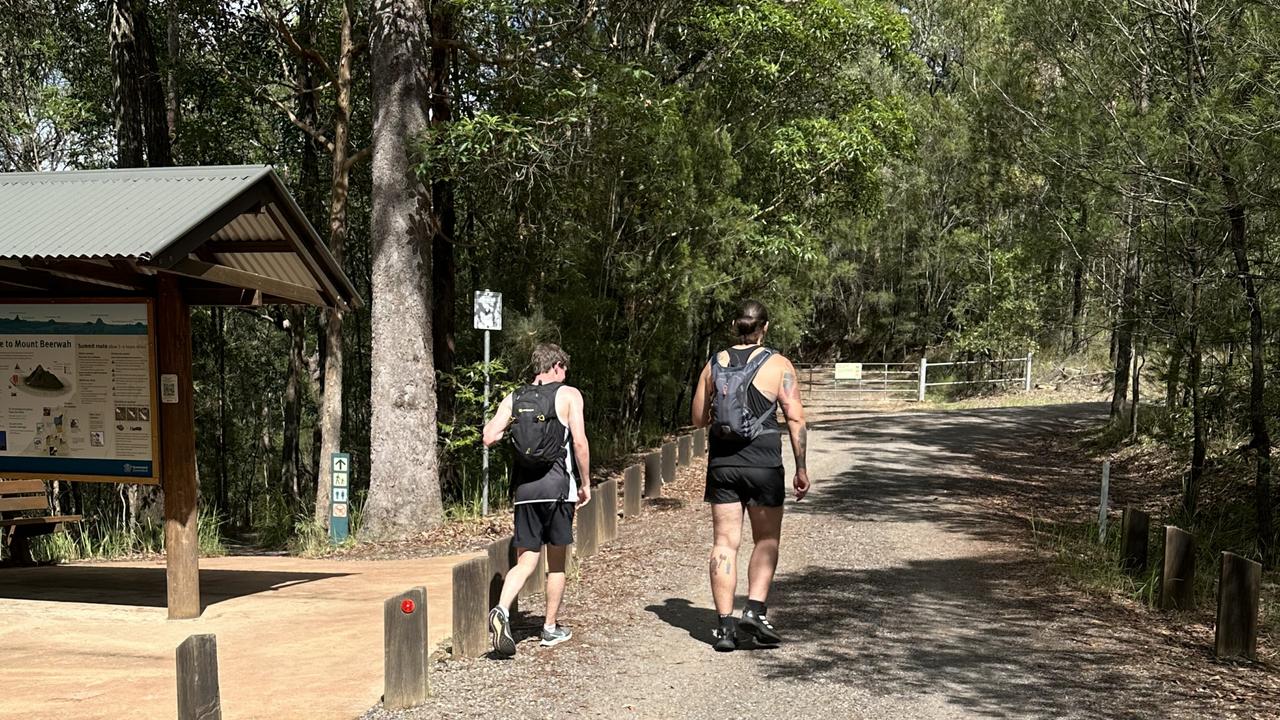 The start of the track at Mt Beerwah. Picture: Letea Cavander