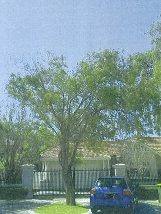 The tree was a major headache for the billionaire couple. Picture: Supplied / Shire of Peppermint Grove Council