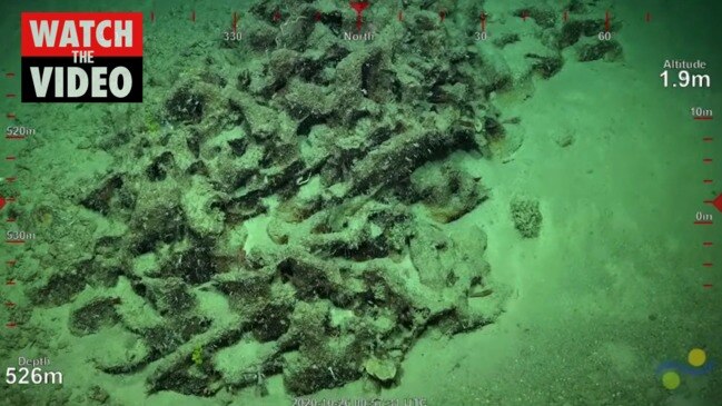 Researchers discover new coral reef off Qld