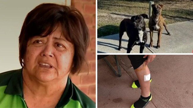 Mum rescued by Uber driver after being attacked by two dogs at a Perth park. Picture: 7News