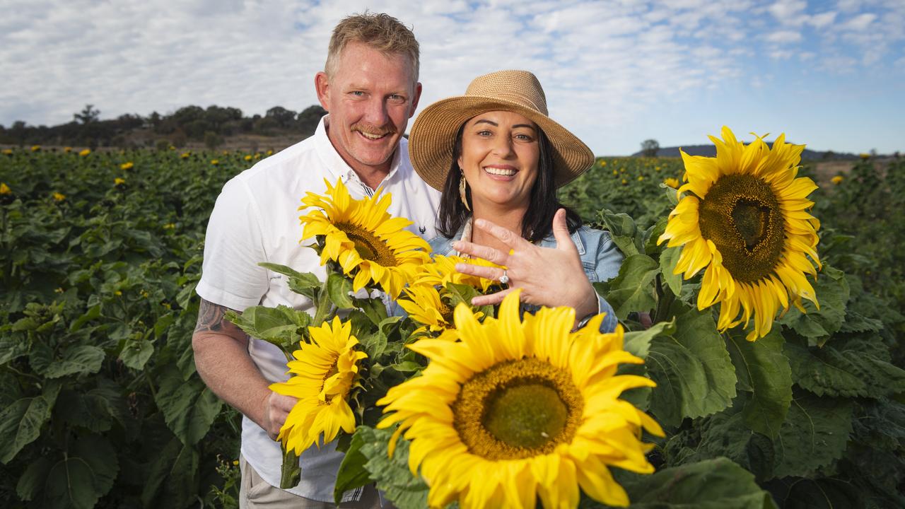 Nick Rafter proposed to Jennifer Hodges while at Warraba Sunflowers, Saturday, June 22, 2024. Picture: Kevin Farmer