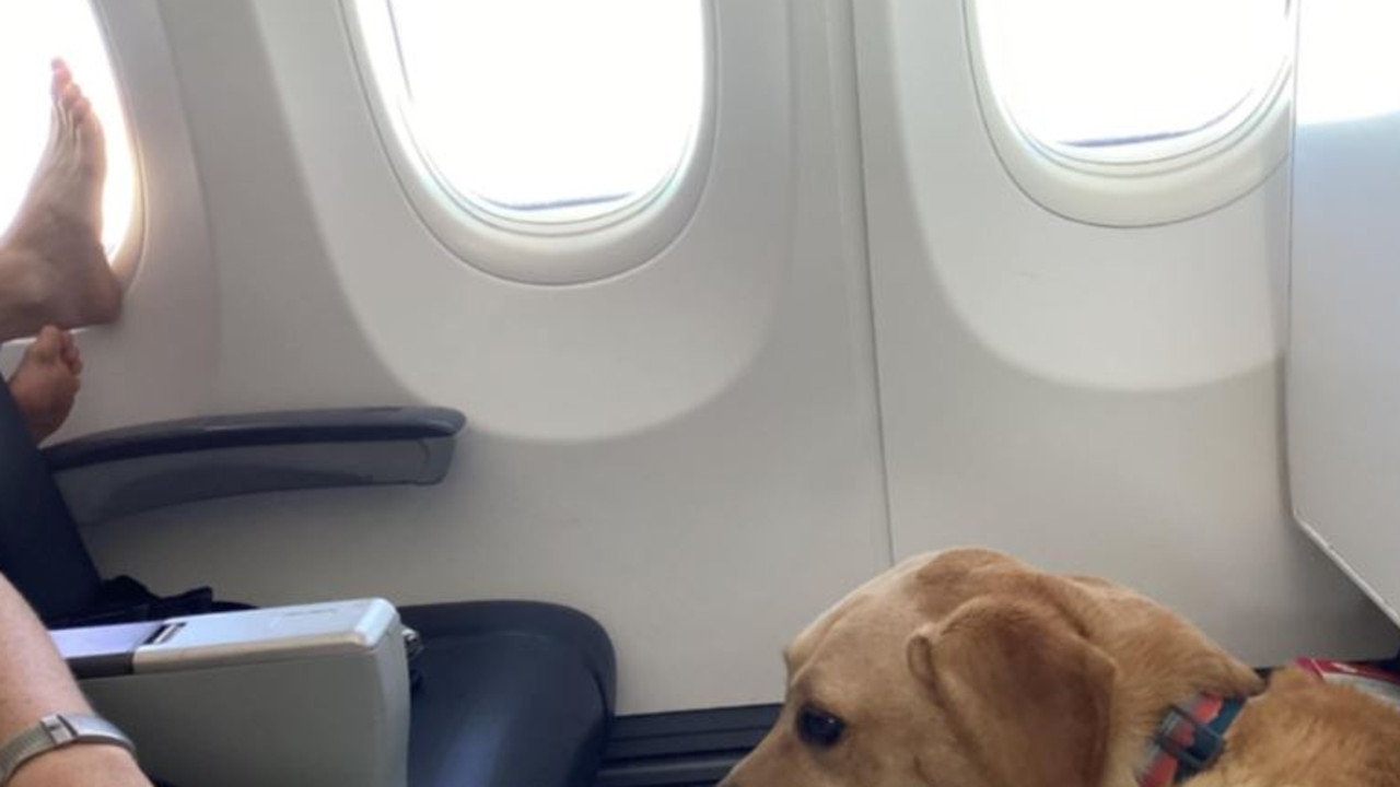 This passenger's behavior on a flight from