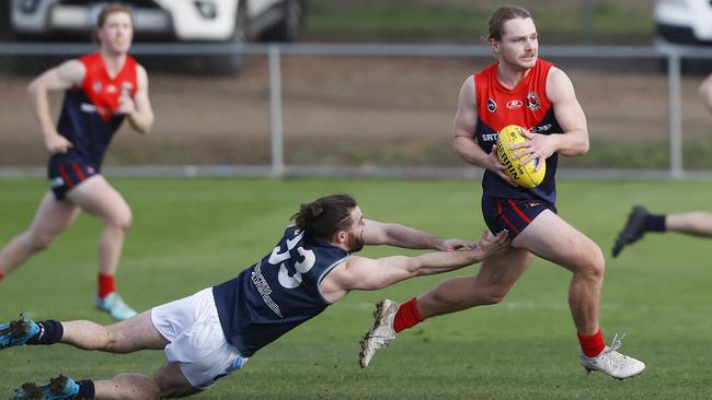 SFL. Darcy Gardner Brighton.. Picture: Nikki Davis-Jones