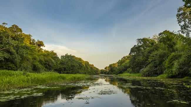 On an airboat safari at Finniss River Lodge, NT.