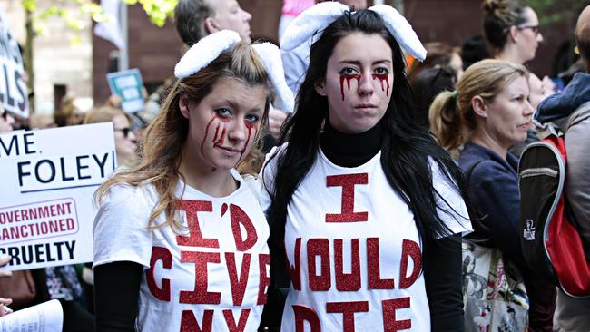 Amilia Humphries and Lolly Wilson protesting against Mike Baird's backdown on the Greyhound Ban Picture:. Adam Yip / The Daily Telegraph