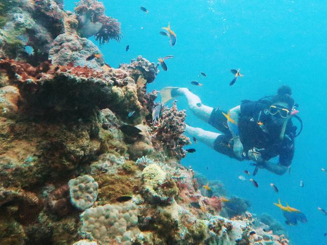 Brisbane tourist Stephlar Suess scuba dives over hard and soft corals growing on Saxon Reef, part of the World Heritage listed Great Barrier Reef Marine Park off the coast of Cairns. Picture: Brendan Radke