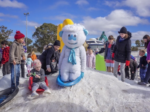 A toboggan good time: Snowflakes in Stanthorpe on this weekend