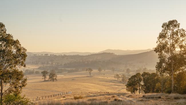 The view from your accommodation. Picture: Dominique Cherry