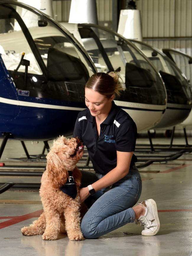 Theory therapy dog Miley with Georgie Arnold at Townsville Helicopters. Picture: Evan Morgan