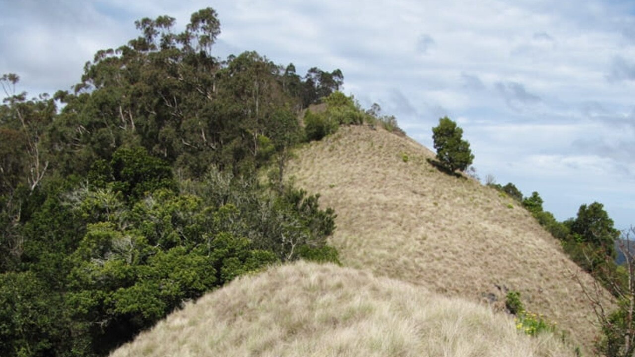 The pair spent 10 days lost in NSW’s Mount Royal National Park.