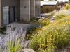 Building a beautiful garden in a harsh climate is possible