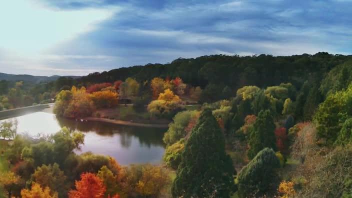 Drone’s Eye View of Beautiful Mt Lofty Botanic Gardens