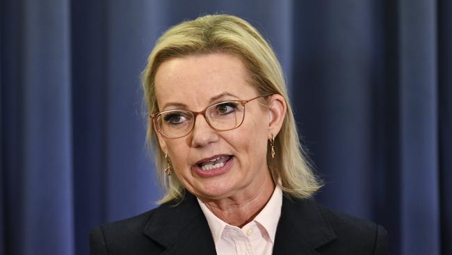 Liberal Party leader Sussan Ley. Picture: NewsWire / Martin Ollman