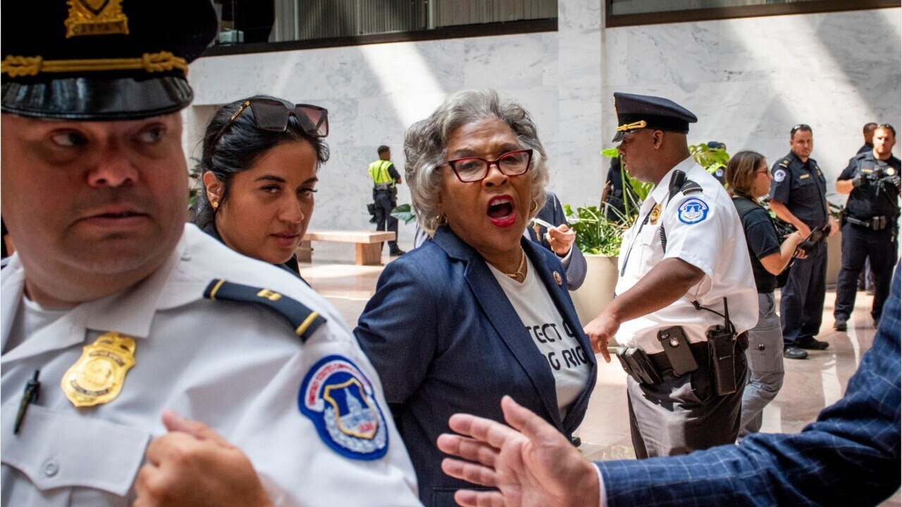 Us Capitol Police Arrest Democrat Joyce Beatty During Senate Protest | Sky  News Australia