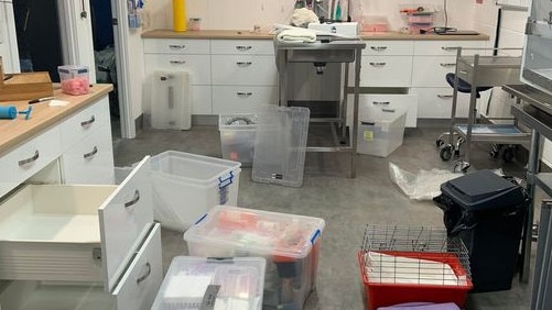 HELP NEEDED: Days after rebuilding from the February floods, Bundamba's Little Critters Veterinary Care has been forced to move to higher ground again. Picture: Little Critters Veterinary Care