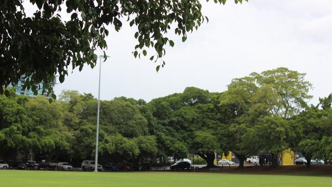 Brothers Rugby Club, Albion. Trees lining the fields. PICTURE: AMANDA HORSWILL