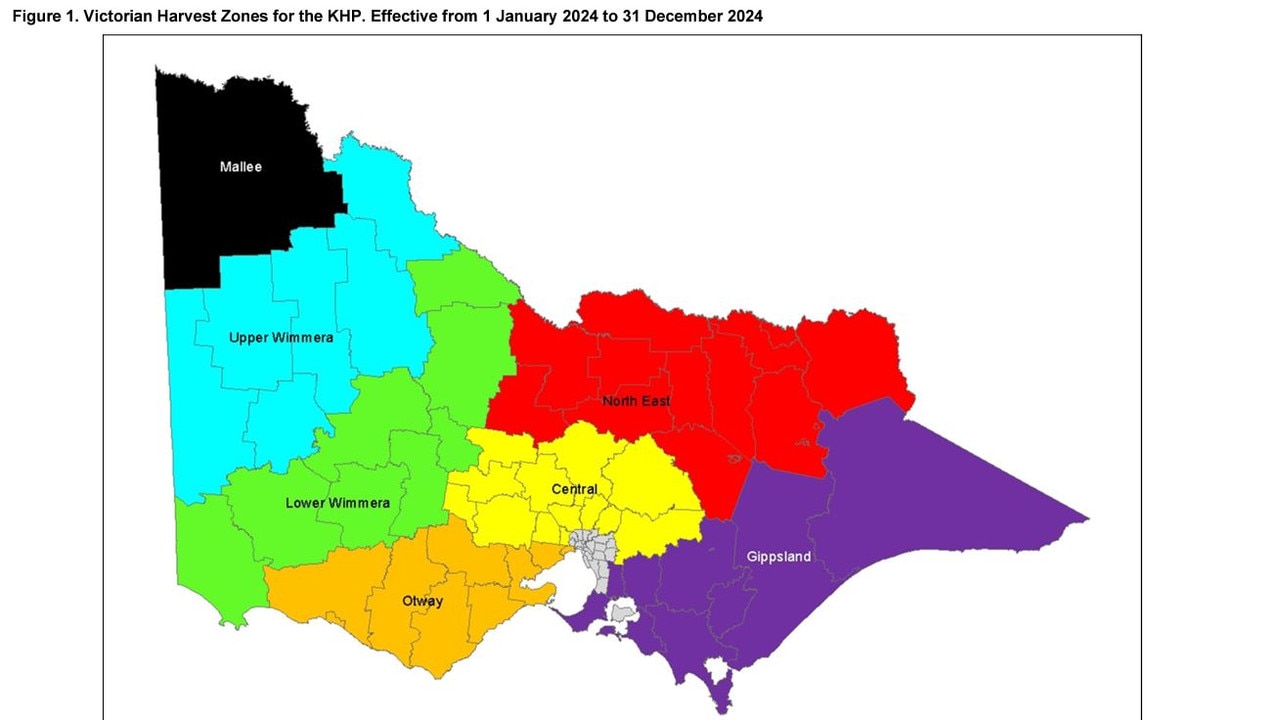 Allan Government releases 2024 Victorian kangaroo cull quota details ...