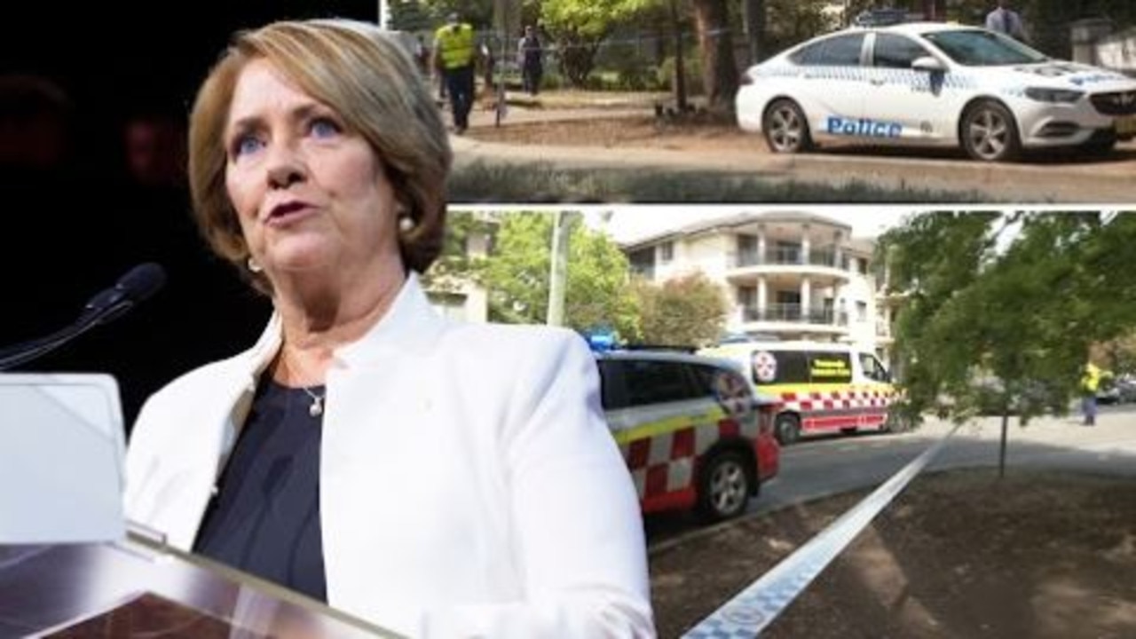 Two shot: Labor MP’s car theft triggers police shooting