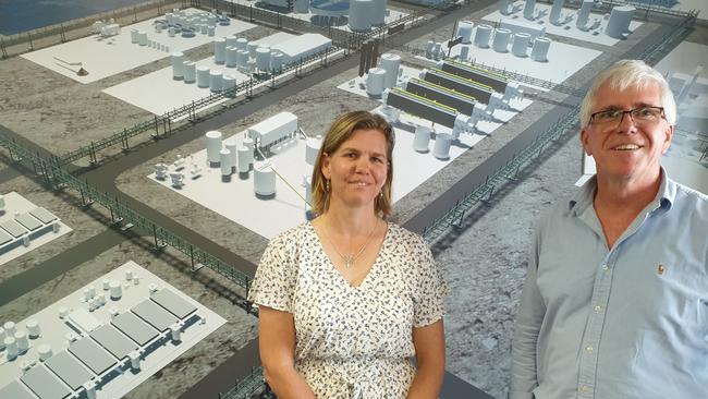 Lansdown Eco-Industrial Precinct players Claire Driessen of Edify Energy and Queensland Pacific Metals Townsville project manager Stewart Hagan in QPM's Townsville office.