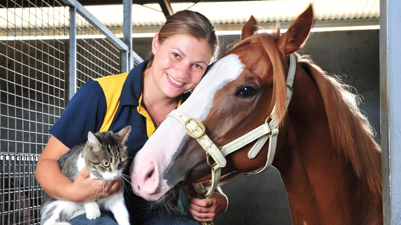 Miracles Of Life is a SA trained racehorse which is favourite for the $1 million Blue Diamond race in Melbourne this Saturday and is shown lots of love by jockey Lauren Stojakovic who will ride the filly at Caulfield. Lauren shares the lime light with stable cat Delilah.