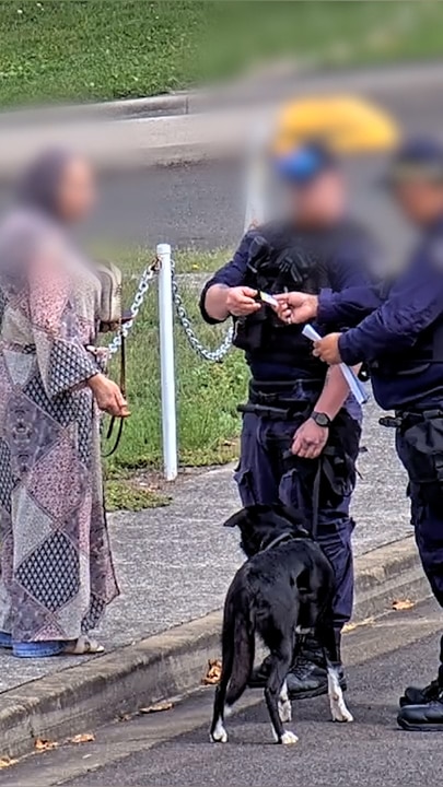 Prison dog sniffs out alleged drug smuggling attempt 