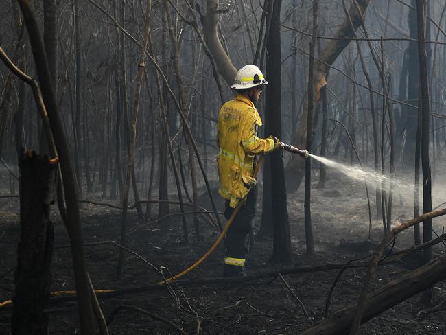 The quick action of firefighters was able to stop fires on the northern beaches, and adjoining areas, from spreading despite high winds and searing temperatures. A firefighter mops up after a blaze that threatened houses in South Turramurra. Picture: Dan Himbrechts