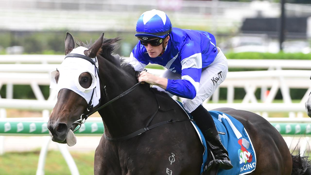 Reggiewood won for Gerald Ryan at Eagle Farm. PHoto: Grant Peters - Trackside Photography