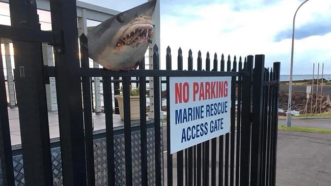 The shark’s head impaled on the fence of a Marine Rescue NSW base in Shellharbour. Picture: AAP Image/Supplied by Marine Rescue NSW