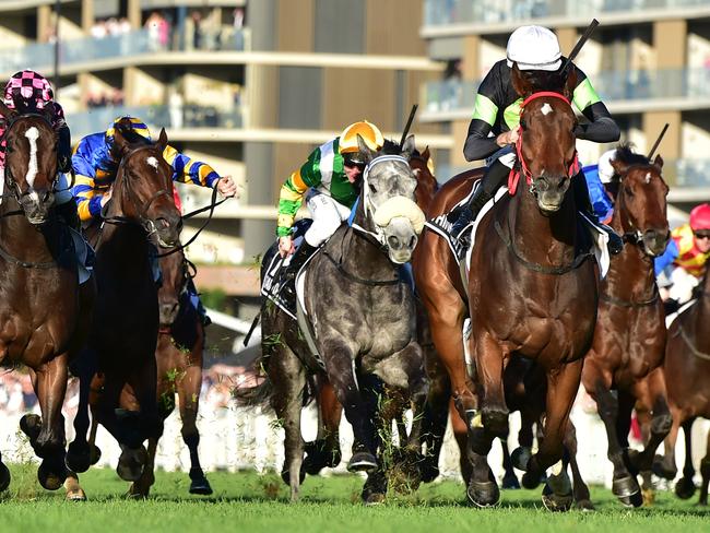 Think About It cruises to victory in the Group 1 Stradbroke Handicap under jockey Sam Clipperton, for trainer Joe Pride. Picture: Grant Peters - Trackside Photography