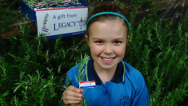 Wests Tigers Honors Legacy with Rosemary Sprigging and