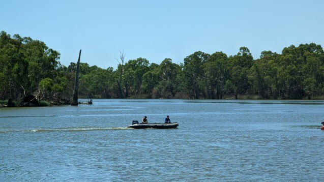 Divers have pulled a body from the Murray River.