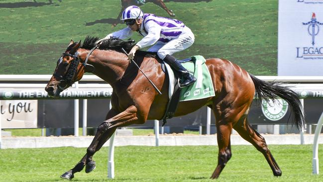 Dreamdeel is looking for back-to-back wins when he heads to Newcastle. Picture: Bradley Photos