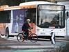 Should seatbelts on buses be compulsory?