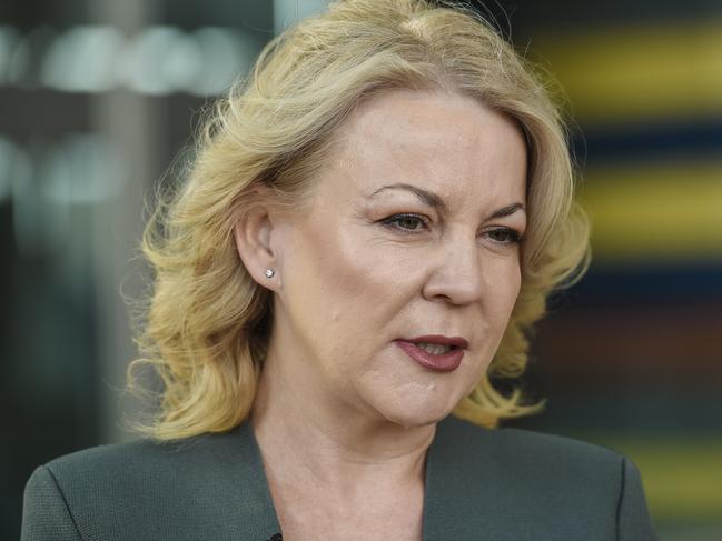 Amanda Wilson mayor Holdfast Bay during an announcement on action against the plan to drill in the Bight, at the Federal Court of Australia in Adelaide, Wednesday, January 22, 2020. (AAP Image/Roy Vandervegt) NO ARCHIVING