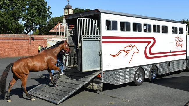 A Darren Weir-trained racehorse being loaded back into a float at Moonee Valley on Friday after his horses were scratched. Picture: AAP Image/James Ross