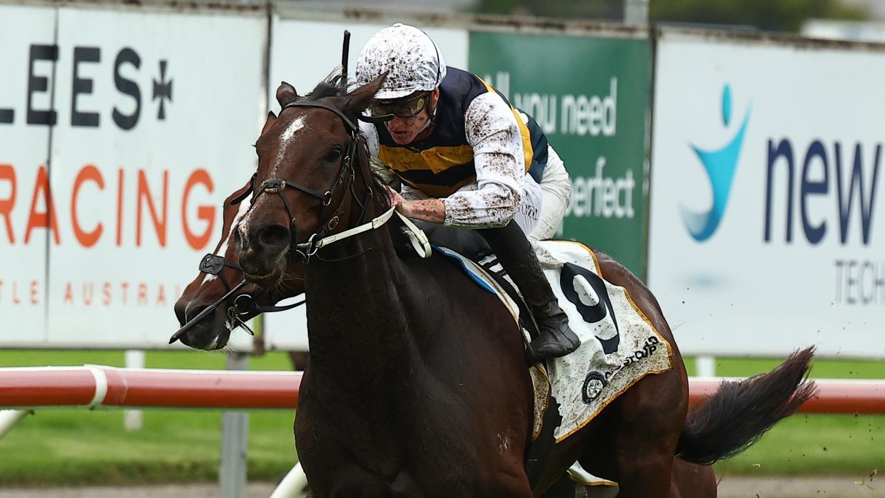 Hezashocka chasing 53-year first in Gosford Gold Cup