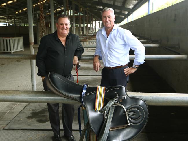 Everything is roses for owners of Melbourne Cup fancy, Tiberian, Shaun Frost and Malcolm Lynch at Gold coast Turf Club, talking about their horses chances in the great race. Picture Glenn Hampson