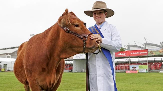 Junior Beef Parader Jed Fazio 11 from Manning Valley Anglican School with his Limousine heifer Gracie who took out first place at the Easter Show. Picture: Toby Zerna