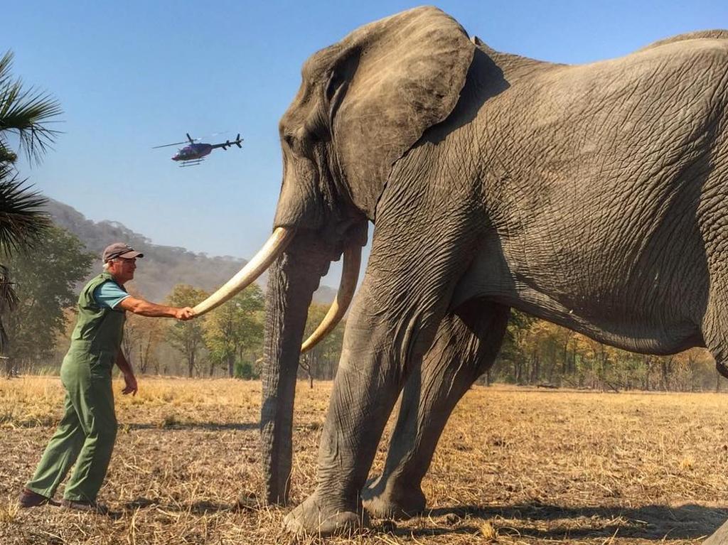 This is the cropped photo posted to the @sussexroyal Instagram account for Earth Day.