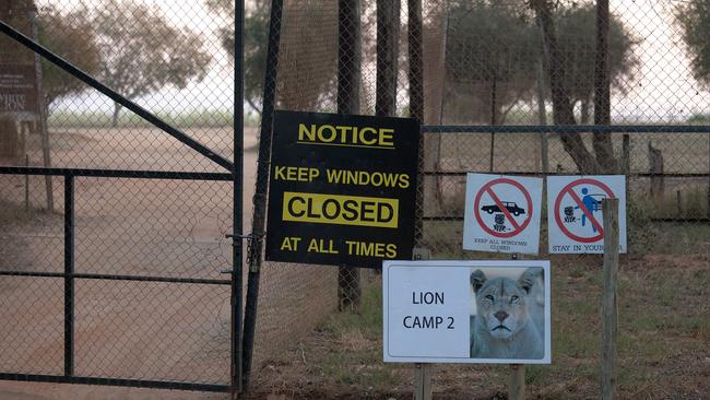 Warning ... visitors are encouraged to have close interactions with many of the animals but remail inside vehicles. Picture: Getty