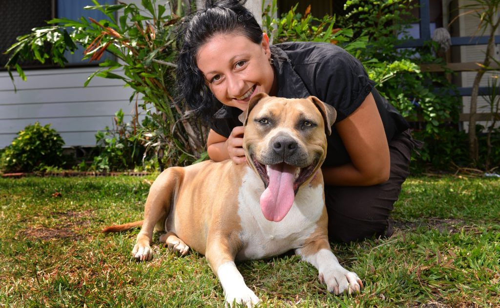 Strong support for Bargara dog off-leash beach | The Courier Mail