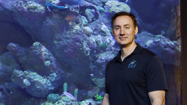 Cairns Aquarium CEO and founder Daniel Leipnik. Picture: Brendan Radke