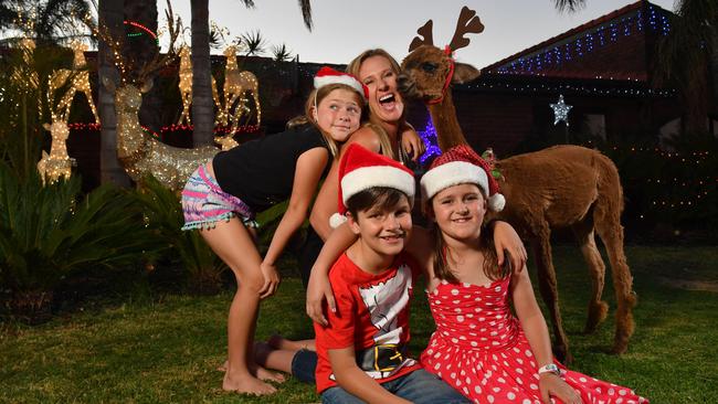 Charlize, Nadine, Hayden and Isla with Audrey the alpaca in front of their Christmas lights in West Lakes Shore. Picture: AAP/Keryn Stevens