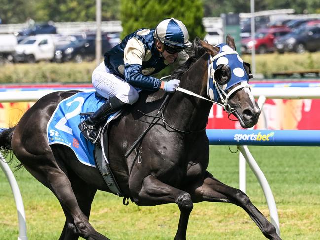 Immediacy (NZ) ridden by Luke Currie wins the Stow Storage Autumn Classic at Caulfield Racecourse on February 24, 2024 in Caulfield, Australia. (Photo by Reg Ryan/Racing Photos via Getty Images)