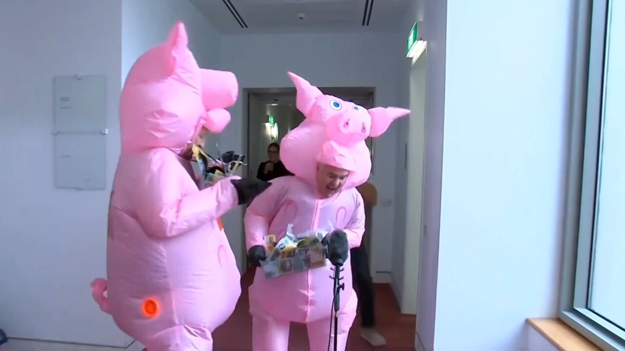 Independent MPs Bob Katter and Andrew Wilkie dress up as pigs in press gallery