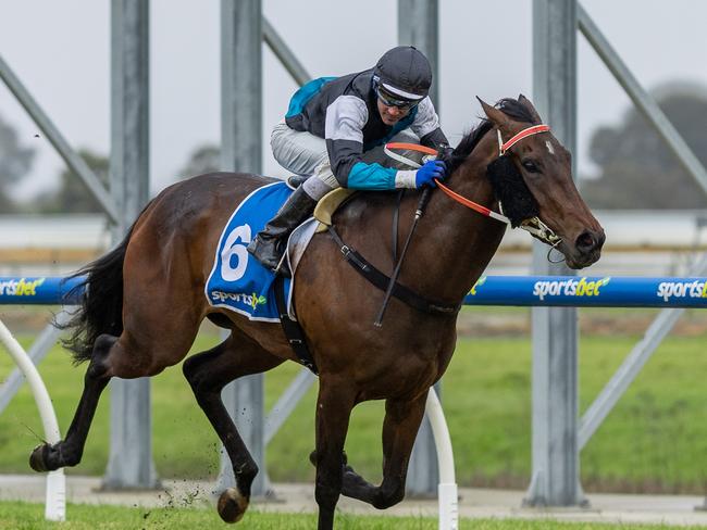 Lingani wins at Morphettville Parks on Saturday. Picture: Makoto Kaneko