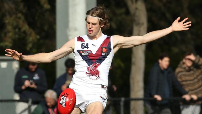 Hugo Hall-Kahan kicked five goals for Sandringham last weekend. Photo: Hamish Blair